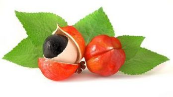 Guarana fruit is the main ingredient in Gigant