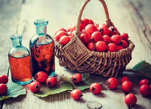 Hawthorn fruits to increase a member