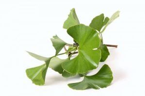 Ginkgo biloba to enlarge the penis.